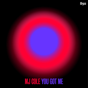 MJ Cole - You Got Me
