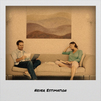 Various Artists - Never Estimation