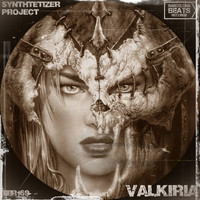 Synthtetizer Project - Valkiria