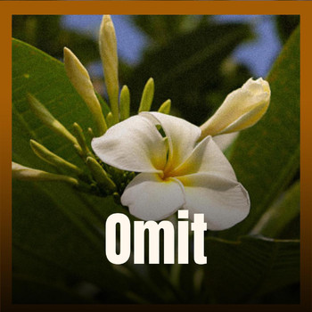 Various Artists - Omit