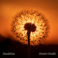 Dimitri Kindle - Dandelion