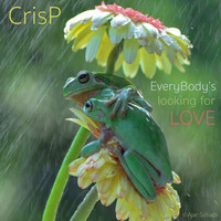 Crisp - EveryBody’s looking for LOVE
