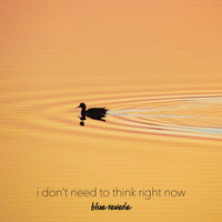 Blue Reverie - I Don't Need to Think Right Now