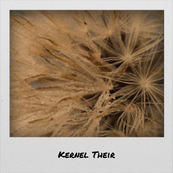 Various Artists - Kernel Their