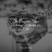 Music For Cats Peace, Calm Music for Cats, Official Pet Care Collection - The Complete Stress Relieving Melodies for Cats