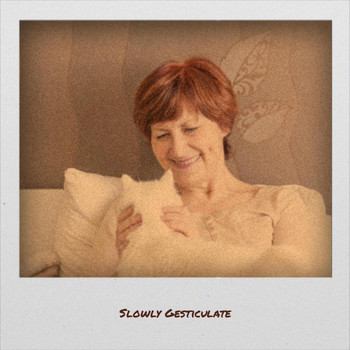 Various Artists - Slowly Gesticulate