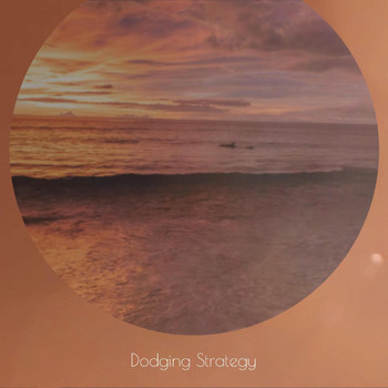 Various Artists - Dodging Strategy