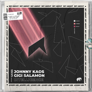Johnny Kaos - Intelligence