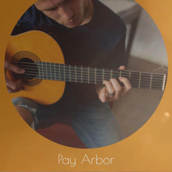 Various Artists - Pay Arbor
