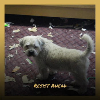 Various Artists - Resist Ahead