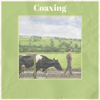 Various Artists - Coaxing