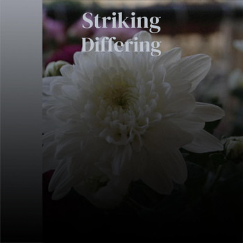 Various Artists - Striking Differing