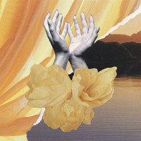 Rehlaender - Carcome