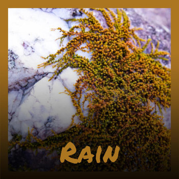 Various Artists - Rain