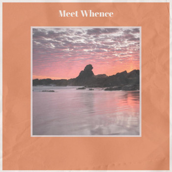 Various Artists - Meet Whence