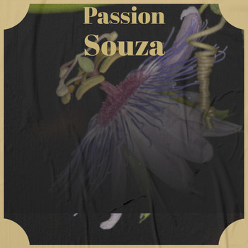 Various Artists - Passion Souza