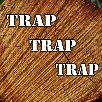 Various Artists - Trap Trap Trap