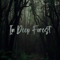 Splendor Reminiscences - In Deep Forest