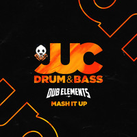 Dub Elements - Mash It Up