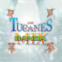 Los Tucanes De Tijuana - Banda Mix