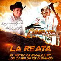 El Potro De Sinaloa - La Reata