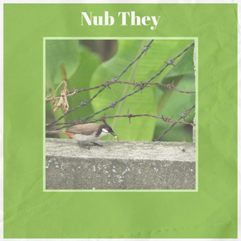Various Artists - Nub They
