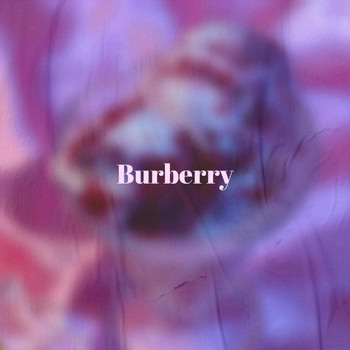 Various Artists - Burberry