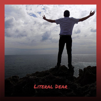 Various Artists - Literal Dear