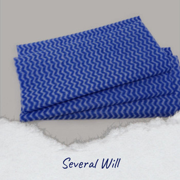 Various Artists - Several Will