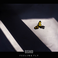 Bassienda - Feeling Fly