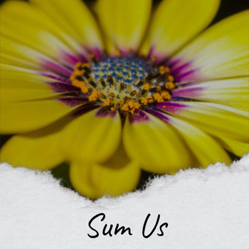 Various Artists - Sum Us