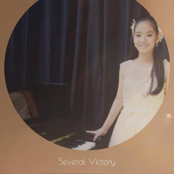 Various Artists - Several Victory