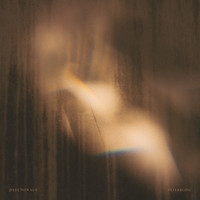 Psychonaut - Interbeing