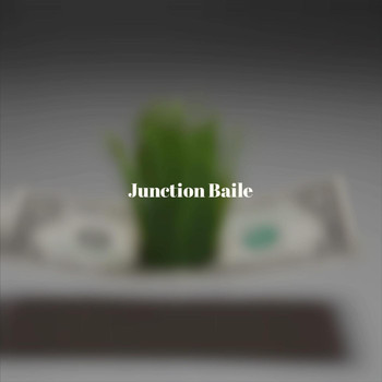 Various Artists - Junction Baile