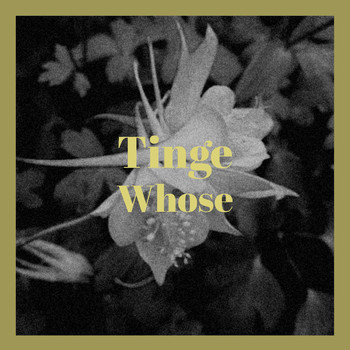 Various Artists - Tinge Whose