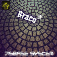Disbase System - Brace