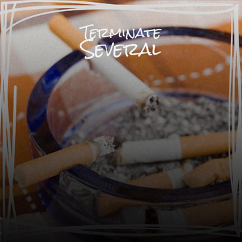 Various Artists - Terminate Several