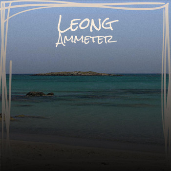 Various Artists - Leong Ammeter