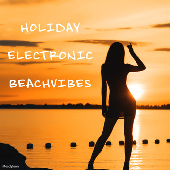 Various Artists - Holiday Electronic Beachvibes