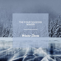George Anderson - The Four Seasons - Winter: Winter Storm
