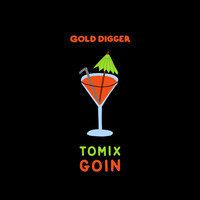 ToMix - Goin