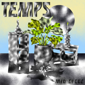 Temps - Mid Cycle