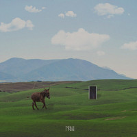 Novel - DONKEY RUN