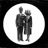 Cyro - Spinosa