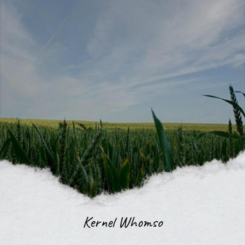 Various Artists - Kernel Whomso