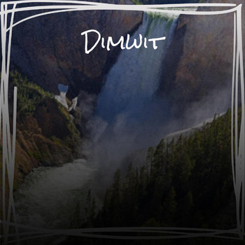 Various Artists - Dimwit