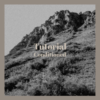 Various Artists - Tutorial Conditioned