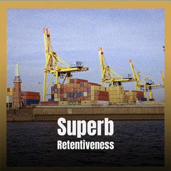Various Artists - Superb Retentiveness