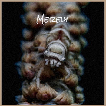 Various Artists - Merely