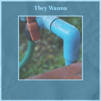 Various Artists - They Wanna